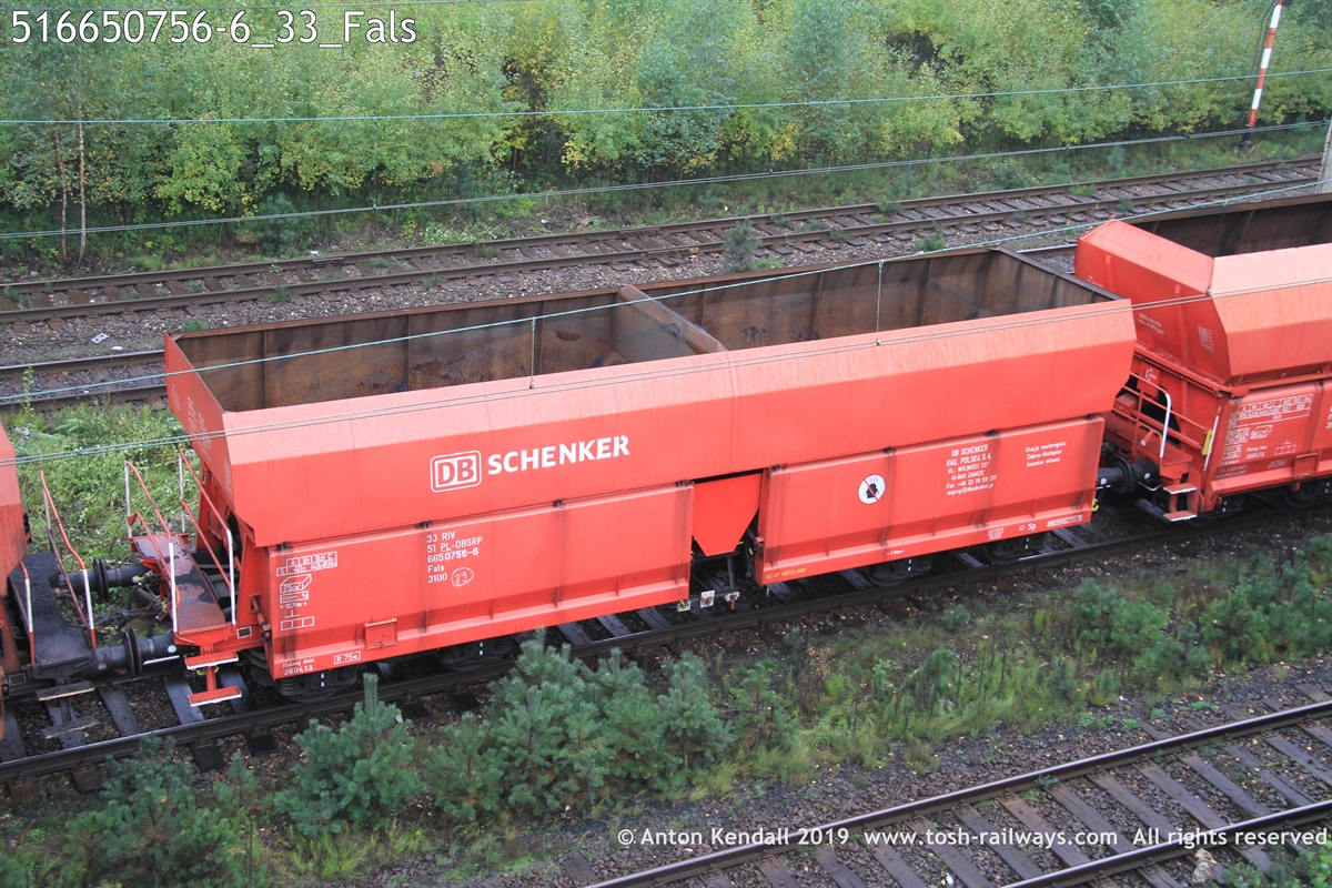 516650756-6_33_Fals.JPG